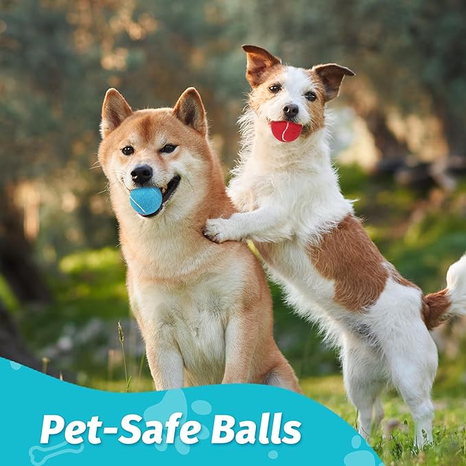 Prime Pets Tennis Balls for Dogs, 2.5 Inch, 12 Pack, Squeaky Dog Toy, Interactive Pet Fetch Ball for Medium and Large Dogs, Squeaky Dog Toys