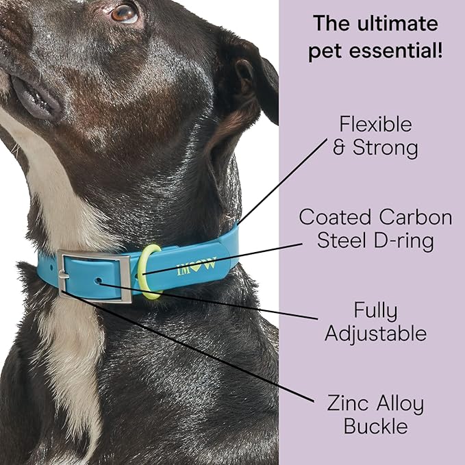 Wild One Dog Collar, Easy-Clean, All Weather Flex-Poly Strap with Metal, Durable, Dirt and Odor Resistant (Hudson, XL)