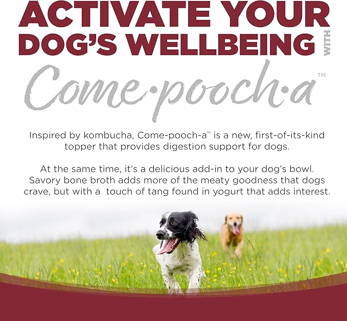 NutriSource Come-Pooch-A Beef Bone Broth for Dog Kibble 12 Ounce (Pack of 2)