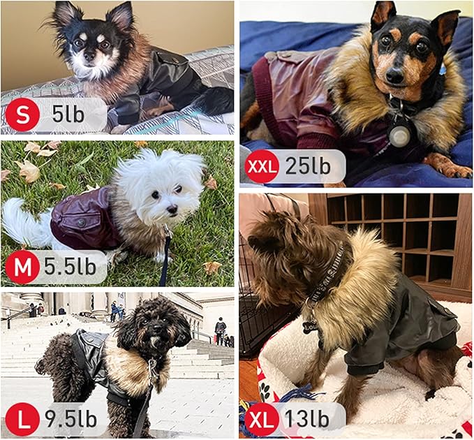 LESYPET Dog Leather Jacket for Small Dogs, Waterproof Dog Winter Jacket Puppy Coat with Fleece Lined, Ultra Warm Fur Collar Doggie Coat, Red L