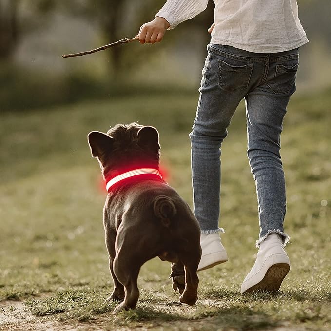 YFbrite Full Adjustbale LED Dog Collar, Full Illuminated Light up Dog Collars, Reflective Dog Collar Light Glowing in The Dark for All Dogs Safety (Large, Pink-2)