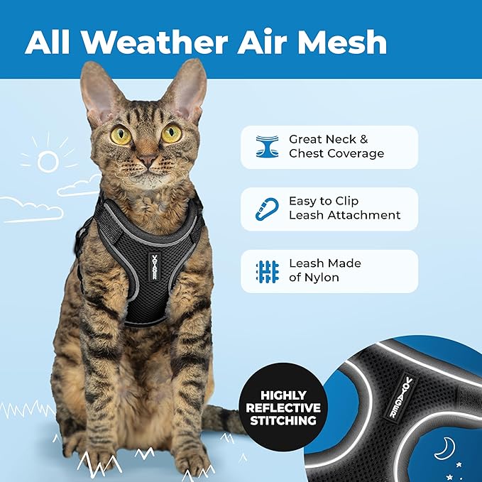 Voyager Escape Proof Cat Harness and Leash Set with Reflective Stitching, Neoprene Handle 5ft - Supports Small, Medium and Large Cats, Kittens for Walking by Best Pet Supplies - Black, XXXS