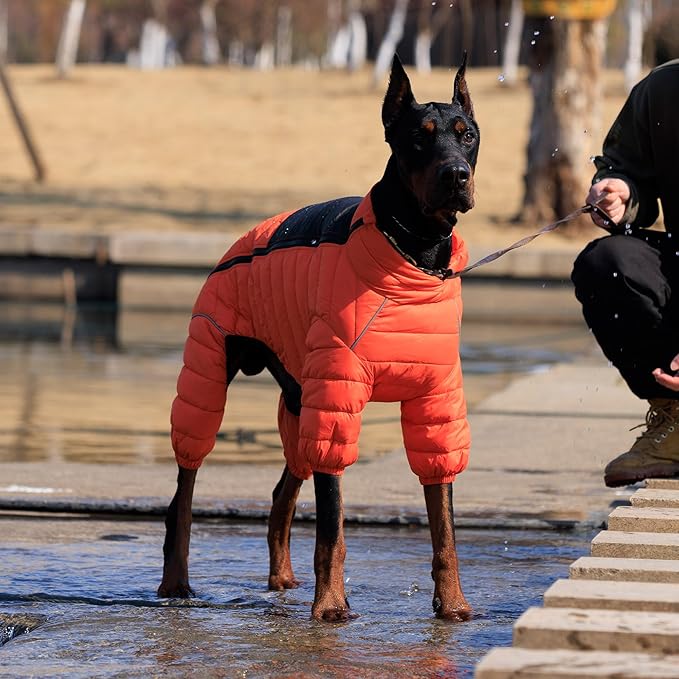 Lovelonglong Warm Jacket - 4 Legs Covered Waterproof Windproof Reflective Vest, Zippered Adjustable Outdoor Snow Jacket for Small Medium Large Dogs, Orange XL