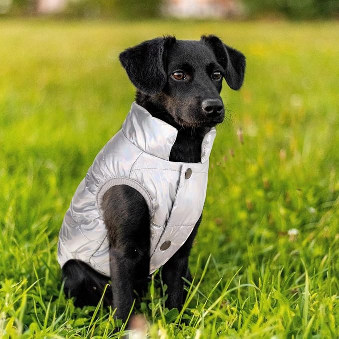 ASENKU Dog Winter Coat - Waterproof Windproof Dog Jacket, Warm Snowproof Doggie Puffer Vest for Cold Weather, Lightweight Snow Coats for Small Medium Large Dogs (Silver, M)