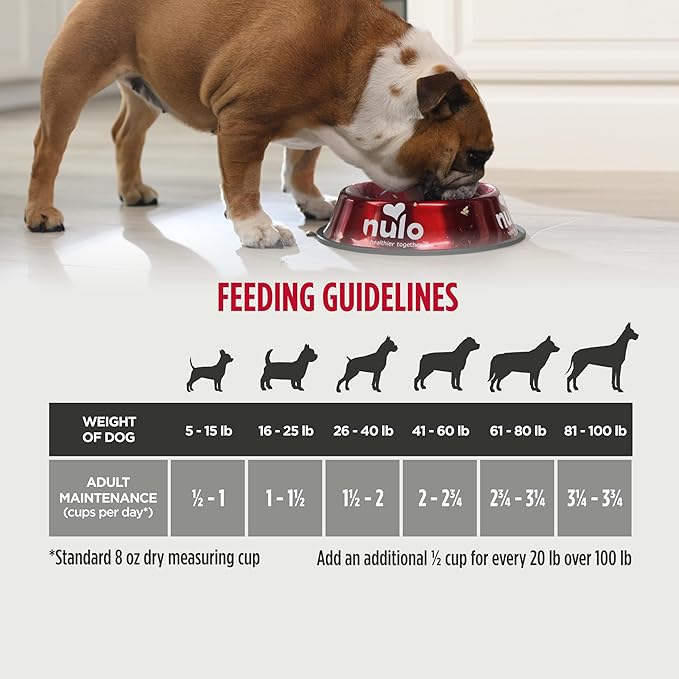 Nulo Frontrunner Ancient Grains High-Protein Dog Food, Beef, Barley, & Lamb Recipe- Natural Dry Dog Food with Probiotics, Grain-Inclusive Kibble for Adult Dogs, 5 lb Bag