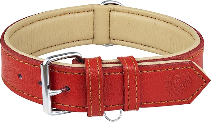 Riparo Large Dog Collar, Red Dog Collar for Large Breeds, Dog Collar Boy with Dog Tag Holder (L: 1.5" Wide for 17"-21" Neck, Red)