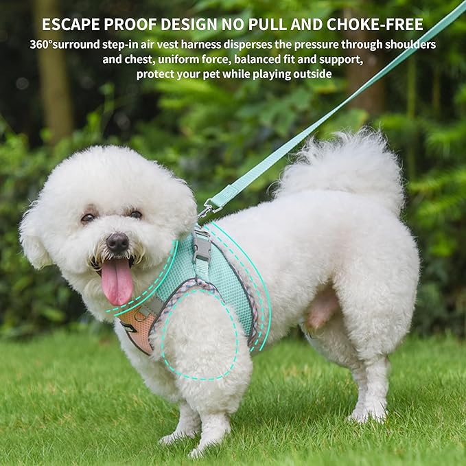 AIITLE Dog Harness and Leash Set - Ultra-Comfortable XXS-XL Vest with Strong Magic Tape & Glow-in-Dark Reflective Strips, Chafe-Free for Teddy, Schnauzer (Turquoise-Pink, M)