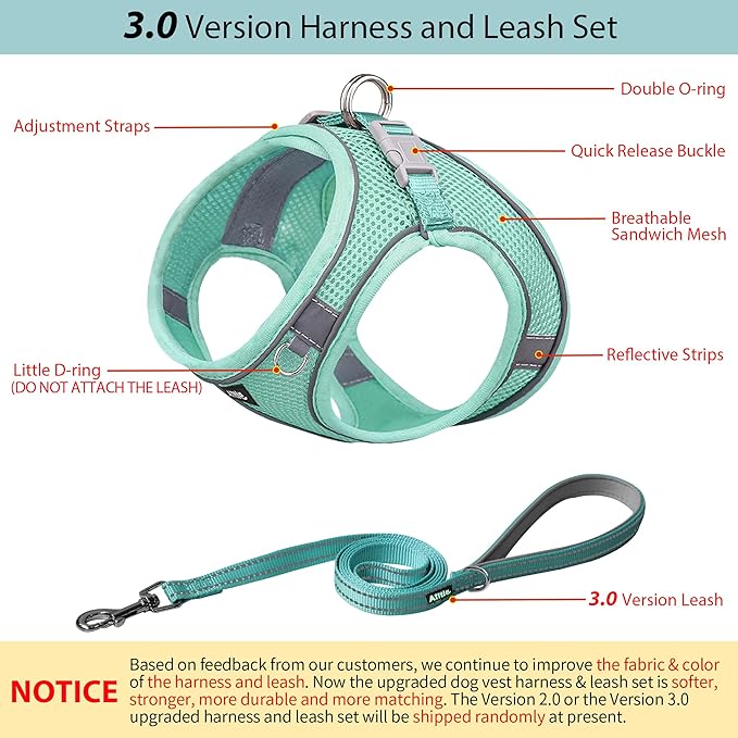 AIITLE Step in Dog Harness and Leash Set - Summer No Pull Escape Proof Vest Harnesses with Soft Mesh and Reflective Bands, Adjustable Pet Outdoor Harnesses for Small and Medium Dogs Pure Turquoise M