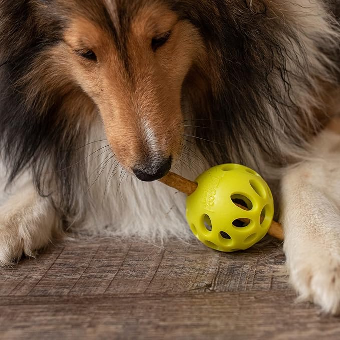 Messy Mutts Totally Pooched Huff'n Puff Ball | 3.1” TPR Puzzle Ball for Dogs | 2-in-1 Durable Interactive Toy and Tooth Cleaner | Green