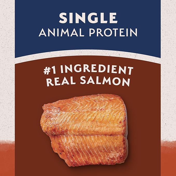 Natural Balance Limited Ingredient Grain Free Salmon & Sweet Potato Dry Dog Food, Sensitive Stomach, 24 lb (Pack of 1)