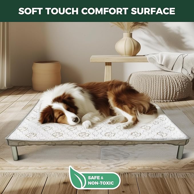 FXW TitanNest Chew-Proof Elevated Dog Bed, Raised Cot for Indoor/Outdoor/Camping Use, Durable & Washable Padded Pet Bed with Exclusive Cover for Medium Dogs, 42.0" L x 27.0" W x 5.0" H, Gray
