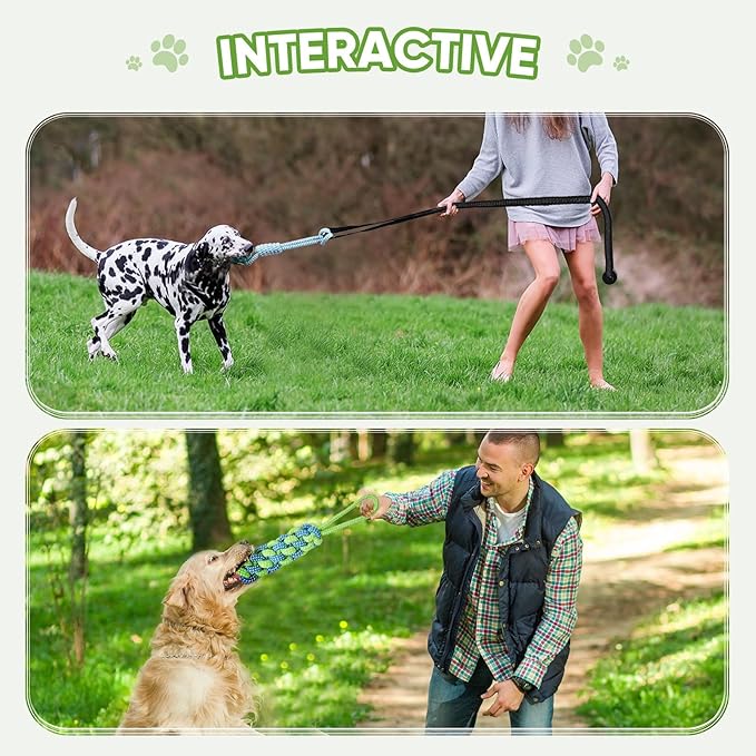 Dog Bungee Toy for Small/Puppies Dogs,Interactive Dog Tug of War Toys Set with Tether, Rope and Ball, Tree Hanging Toy with 2 Chew Ropes,Indoor Spring Pole Ropes,Not for Aggressive Chewers
