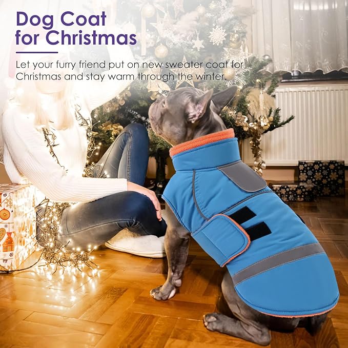 SUNFURA Dog Coats for Medium Dogs, Dog Winter Coat with Fleece Lining for Cold Weather, Warm Dogs Puffer Jacket Reflective Snowsuit with Leash Hole for Jack Russel, Boston Terrier, Turquoise M