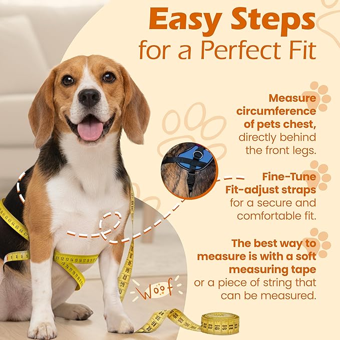Bark Appeal Aqua Blue No-Pull Dog Harness for Large to Extra Large Sized Pets – Adjustable, Reflective Vest with 3 Leash Clips for Added Control, Easy Walks & Training – XL