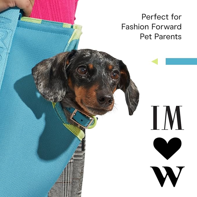 Wild One, Limited Edition, Designer Collection, Blue Dog Collar, Easy-Clean, All Weather Flex-Poly Strap with Metal, Durable, Dirt and Odor Resistant, XSmall