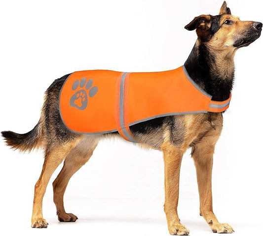 Reflective Safety Vest, High Visibility Keep Dogs Visible Outdoor Activity Day and Night, Hunting and Walking, Jacket for Small, Medium and Large Dogs (Blaze Orange, L)