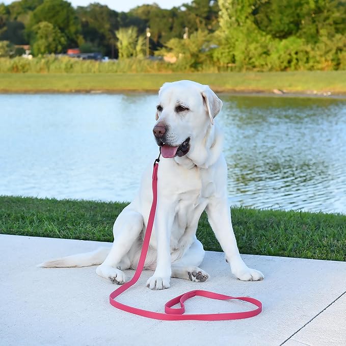 Dogline Biothane Waterproof Dog Leash Strong Coated Nylon Webbing with Black Hardware Odor-Proof Easy to Clean High Performance for Small or Large Dogs Made in USA 2 ft Lead, Passionfruit Pink