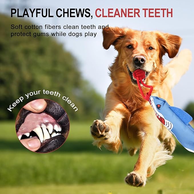 Dog Tree Tug of War Toy with Squeaky, Tethered Tug of War Outdoor Toy Self Play for Small to Medium Dogs to Exercise Play Rope,Ball with Rope Dog Toy