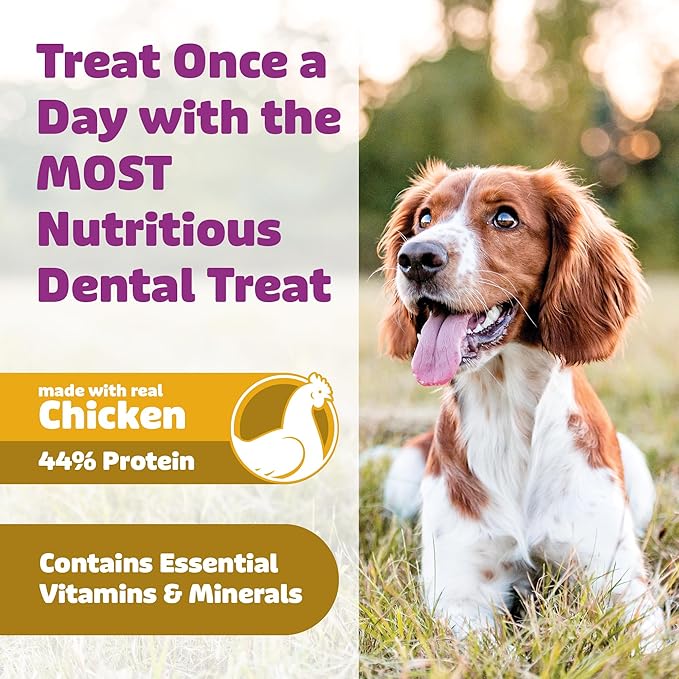Yummy Combs Dog Dental Treats – Vet VOHC Approved – Delicious Chicken Protein – Removes Tartar with Cleaning Comb Shape – Dental Dog Treats for Extra Small Dogs (36oz, 144 Count)