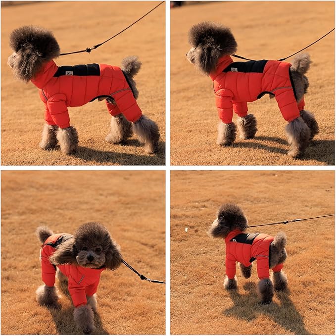 Lovelonglong Warm Jacket - 4 Legs Covered Waterproof Windproof Reflective Vest, Zippered Adjustable Outdoor Snow Jacket for Small Medium Large Dogs, Orange XXL