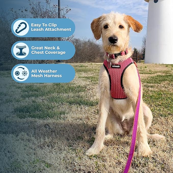 Best Pet Supplies Voyager Step-in Air Harness - All Weather Mesh, Reflective, No Pull Harness for Dogs, Cats - Secure with Hook & Loop Fastener, Buckle, Double D-Rings - Tone, S