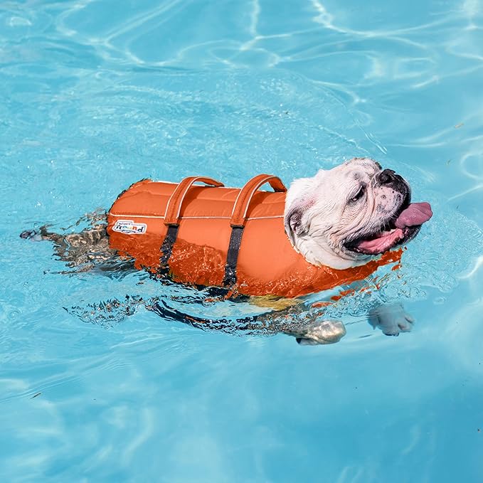 Outward Hound Granby Splash Dog Life Jacket, High-Buoyancy Dog Life Vest for Swimming, Boating, and Water Safety, Small, Orange