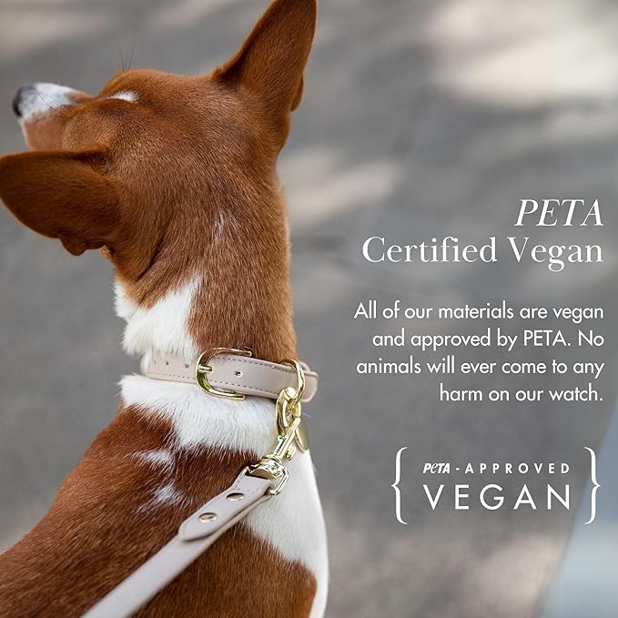 NINA WOOF Copenhagen Leather Dog Collar - Handmade with Vegan Soft Leather Round Padded Collar with Adjustable Buckle for Extra Small, Small, Medium, and Large Dogs - Color Beige, Extra Small