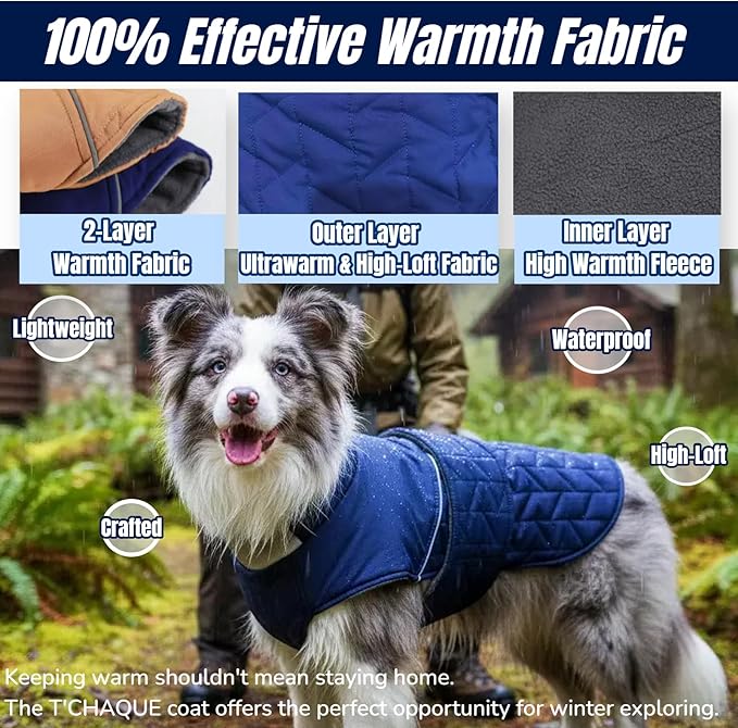2-Layer Classic Quilted Warmth Dog Winter Coat, Waterproof Outdoor Coats for Small Dogs, Lightweight & Thick Puppy Jacket with Leash Hole, Turtleneck Pet Vest Clothes for Chihuahua Yorkie(Blue, XS)