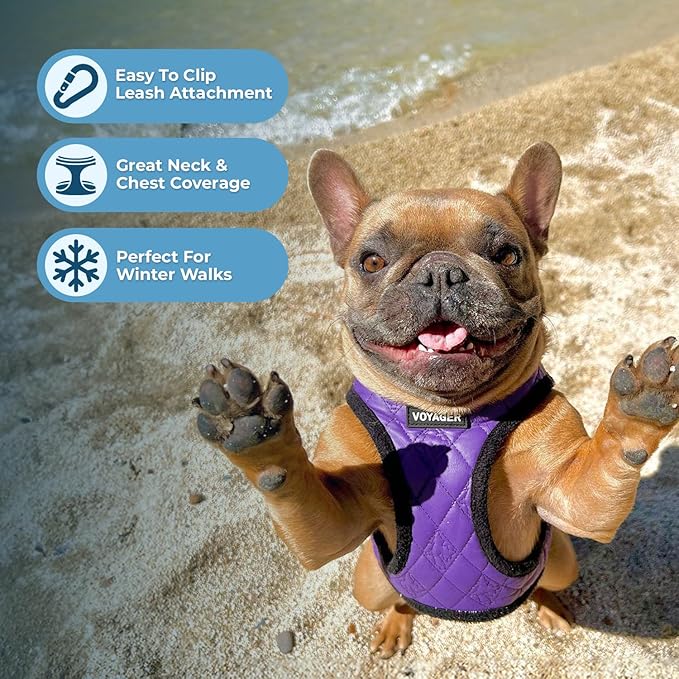 Best Pet Supplies - All Weather Mesh / Plush, Reflective, No Pull Harness for Small, Medium Dogs, Cats - Secure with Hook & Loop Fastener, Buckle, Double D-Rings - Purple Faux Leather, XS