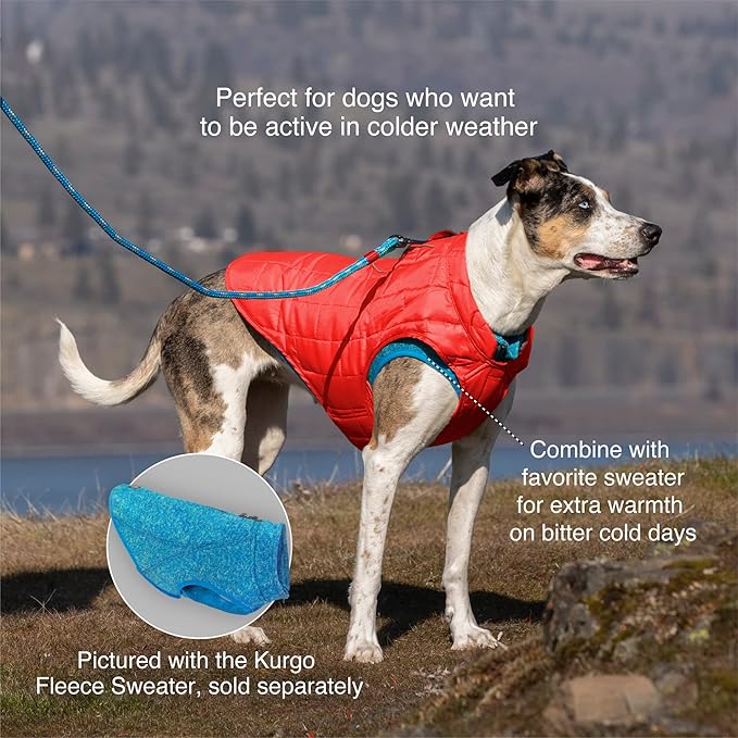 Kurgo Loft Dog Jacket - Reversible Cozy Coat for Outdoor Adventures - Water Resistant - Athletic Fit - Machine Washable Fabric - Reflective Dog Gear - Medium - Ink Blue