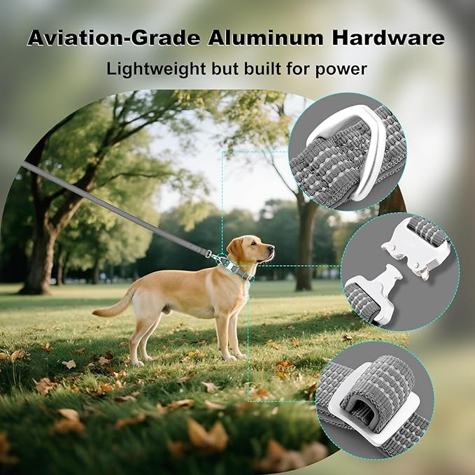 Plutus Pet Reflective Dog Collar with Aviation Aluminum Buckle, Neoprene Padded for Comfort, Lightweight, Heavy Duty Nylon Collar for Puppy Small Medium Large Dogs (Gray, L)