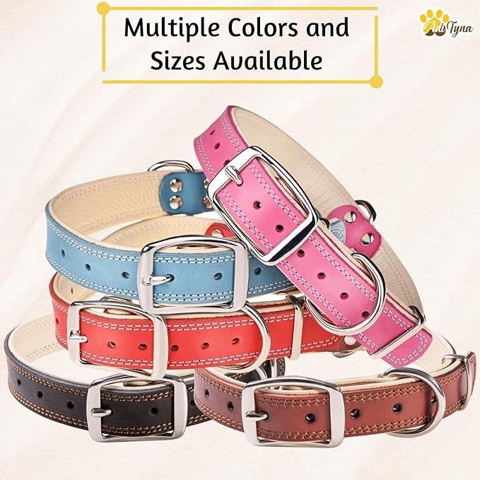 ADITYNA Heavy-Duty Leather Dog Collar for Medium Dogs - Soft Padded for Comfort - Medium Dog Collar for Walking, Training, and Hiking