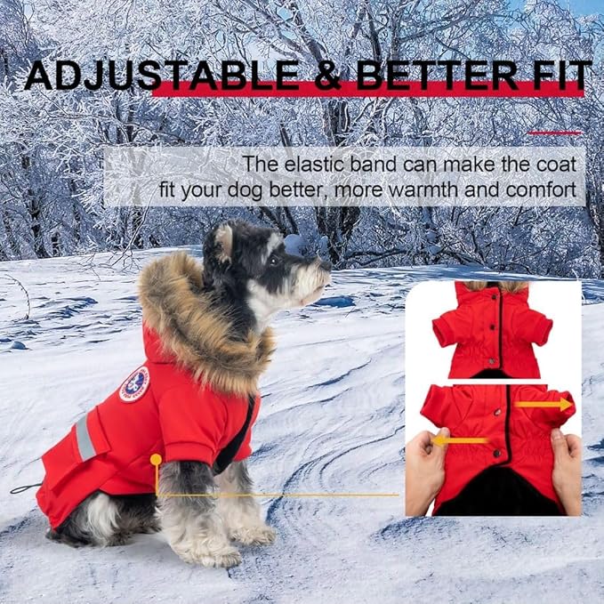 PINA Small Dog Coats - Waterproof, Warm Winter Jacket with Faux Fur Hood & Pocket