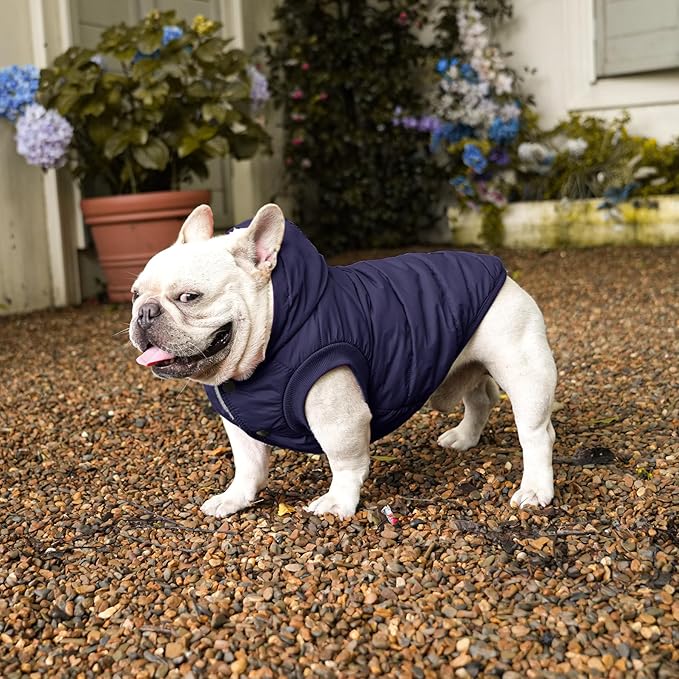Fleece Lining Extra Warm Dog Hoodie in Winter for Medium Dogs Jacket Pet Coats with Hooded,Blue L