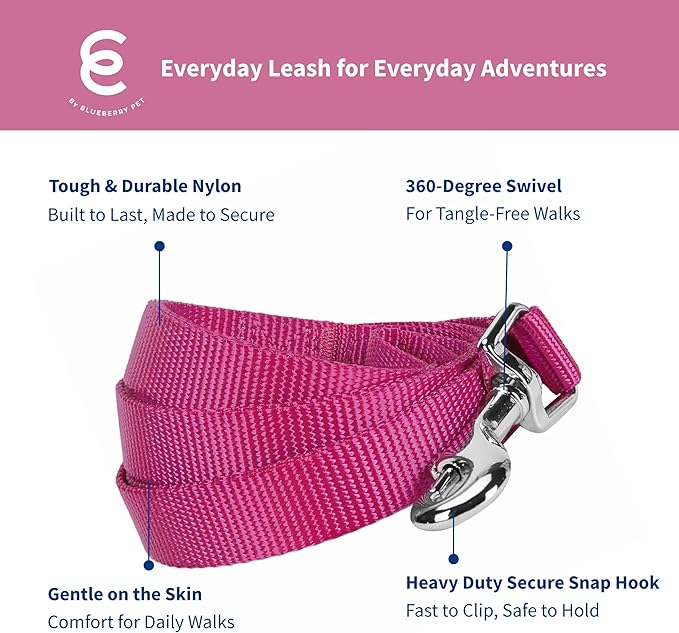 Blueberry Pet Essentials Very Berry Dog Leash for Large - 4' * 1" Dogs | Heavy Duty Nylon Lead | Lightweight Puppy & Cat Leash for Walking & Training