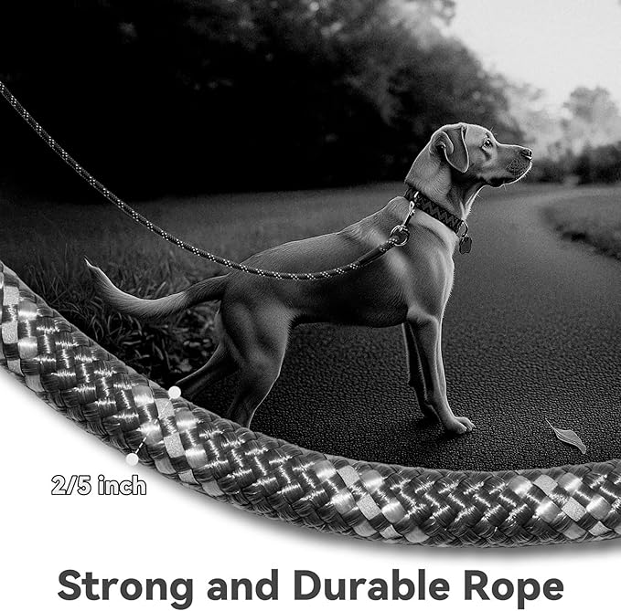 Nylon Dog Leash 6FT 10FT 20FT 30FT Diameter 2/5 Inch with Comfortable Silicone Handle Highly Reflective No Tangle for Medium Large Dogs Outside Walking Camping Backyard. (Black, 10FT * 2/5Inches)