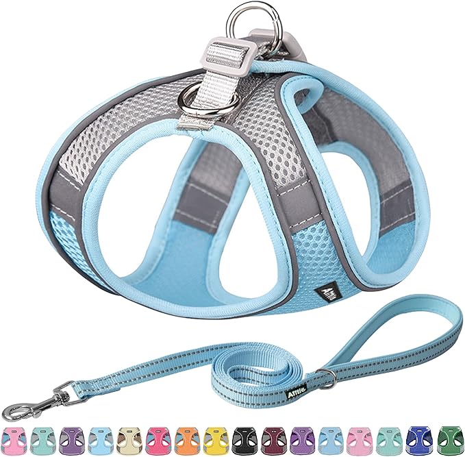 AIITLE Step in Dog Harness and Leash Set - Summer No Pull Escape Proof Vest Harnesses with Soft Mesh and Reflective Bands, Adjustable Pet Outdoor Harnesses for Small and Medium Dogs Blue M