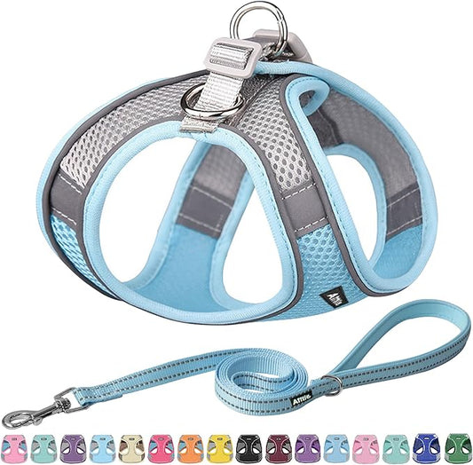 AIITLE Escape Proof Dog Harness - Step in Adjustable Dog Harness No Choke Over with Breathable Mesh and Quick-Release Buckle for Summer- Outdoor Walking, Camping, Training for Medium Dogs Blue XL