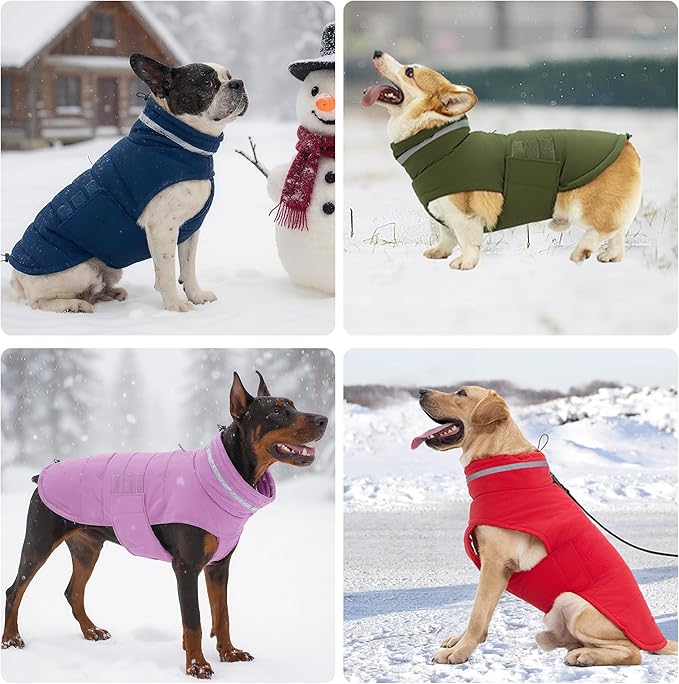 Dog Coat, Waterproof Winter Jacket, Warm Windproof Jacket, Reflective Adjustable Turtleneck Coats for Small Dogs with Hook & Loop - Green - S