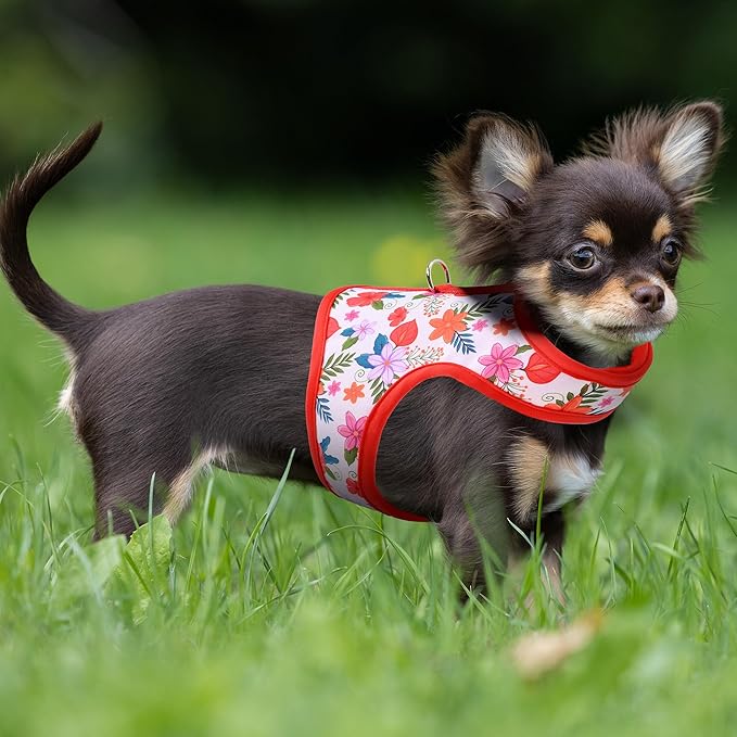 Mile High Life Dog Harness, Air Mesh Floral Vest Harness for 20 lbs Small Dogs & Cats, Easy Get on Adjustable Easy Closures Both Neck and Chest(Red Flower, S Chest 16"-18")