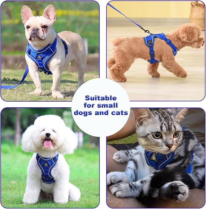 SOLMOONY Small Dog Harness,Soft Mesh Puppy Harness and Leash Set,No Escape Cat Harnesses for Training Walking,Reflective Adjustable Puppy Vest for Small Medium Dogs, Cats (Navy Blue, S)