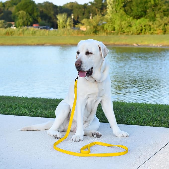 Dogline Biothane Waterproof Dog Leash Strong Coated Nylon Webbing with Black Hardware Odor-Proof Easy to Clean High Performance for Small or Large Dogs Made in USA 2 ft Lead, Lemon Yellow