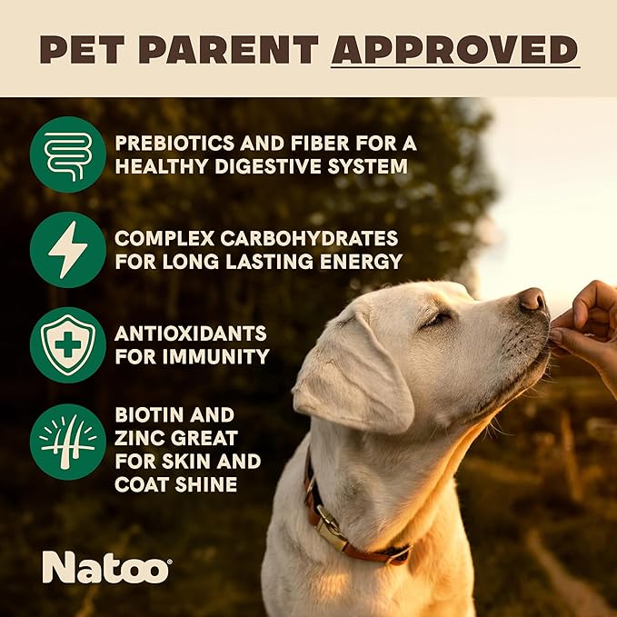 NATOO Healthy Treats for Large Dogs, Crunchy Biscuits Coconut & Mango Flavor – Natural Dog Treats, Rich in Omega 6, Prebiotics & Fiber, Antioxidants for Immunity (8 oz)