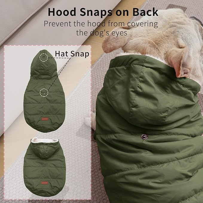 Fleece Lining Extra Warm Dog Hoodie in Winter,Small Dog Jacket Puppy Coats with Hooded Green XS