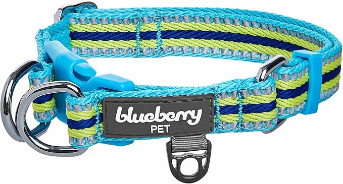 Blueberry Pet Safety Dog Collar with Dual D-Rings | 3M Reflective Multi-Colored Adjustable Collar in Blue and Yellow | Soft Nylon Dog Collar for Active Small Dogs