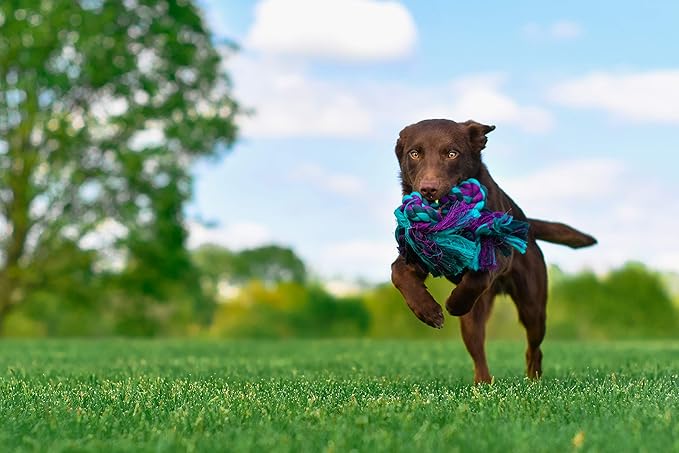 Mammoth Pet Products Flossy Chews Cottonblend Color Rope Bone, X-Large, 16-Inch, MultiColored (20008V)
