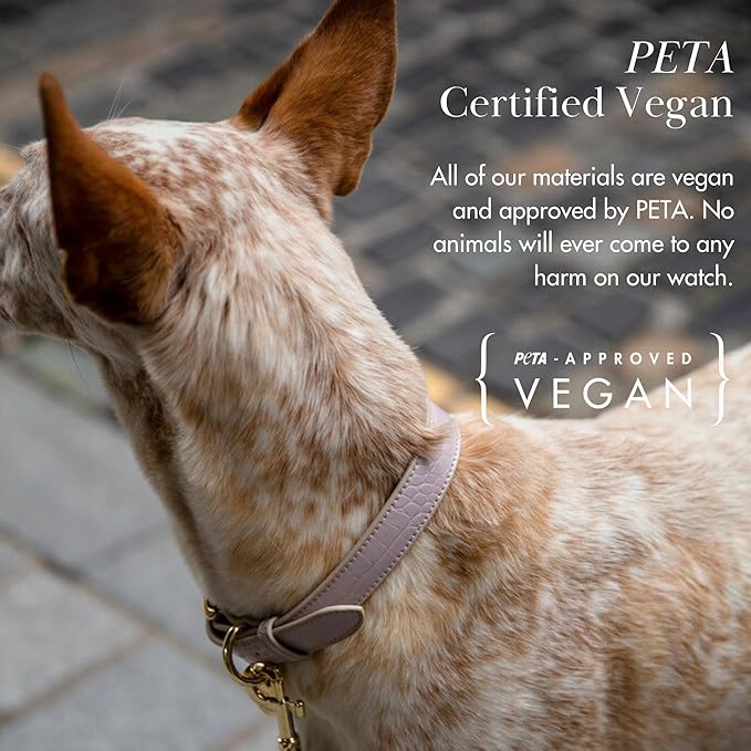 NINA WOOF Milan Vegan Leather Dog Collar - Padded Luxury Dog Collar with Adjustable Buckle - Collar for Dogs, for Small Dogs and Large Dogs - Color Lilac, Size Large