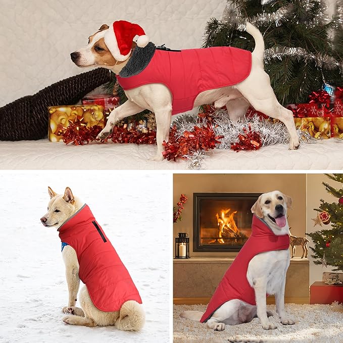 Dog Winter Coat, Waterproof Dog Jacket with Leash Hole, Reflective Adjustable Pet Snow Vest, Warm Fleece Sweater for Small Medium Large Dogs - Red, XS