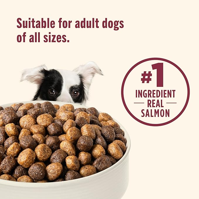 Nutrish Real Salmon, Veggies & Brown Rice Recipe Whole Health Blend Dry Dog Food, 13 lb. Bag, Packaging May Vary (Rachael Ray)