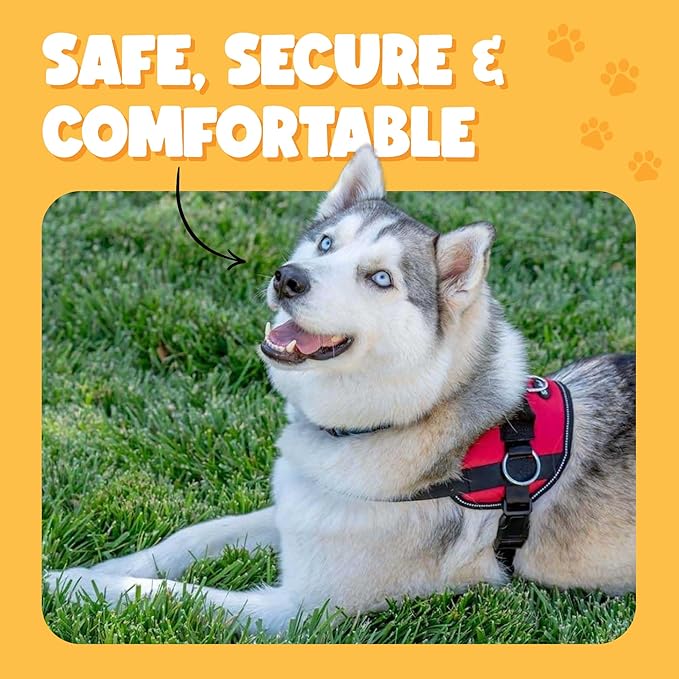 Bark Appeal Purple Plaid No-Pull Dog Harness for Medium to Large Sized Pets – Adjustable, Reflective Vest with 3 Leash Clips for Added Control, Easy Walks & Training – Large